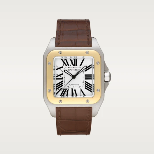 【1:1 Super Clone】SANTOS 100 WATCH 38mm