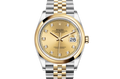 LadyRolex DATEJUST 36，126203